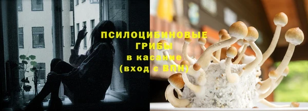 сатива Зерноград