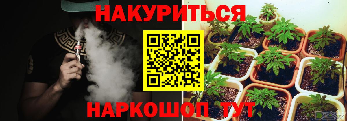 Конопля индика Кохма